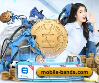 半岛综合 APP
